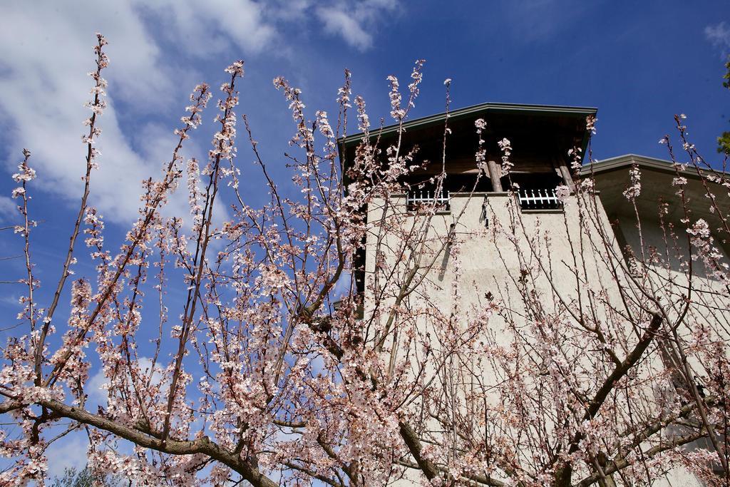 Torretta D'Assisi Acomodação com café da manhã Tordandrea Exterior foto